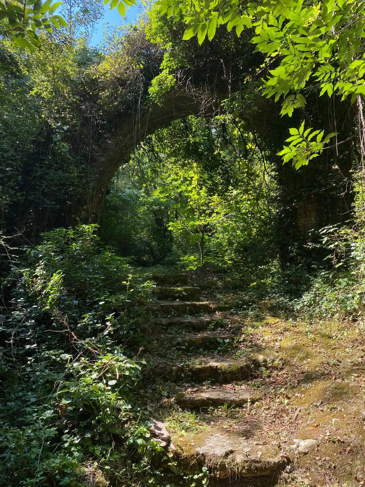 Tor zum Garten_1