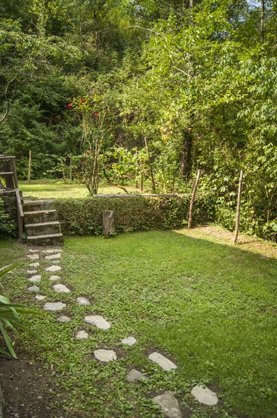 Garten2